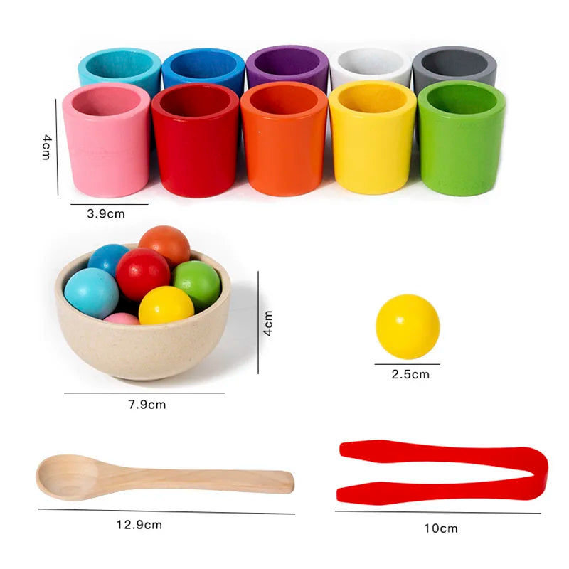 Wooden Cups Colour Sorting