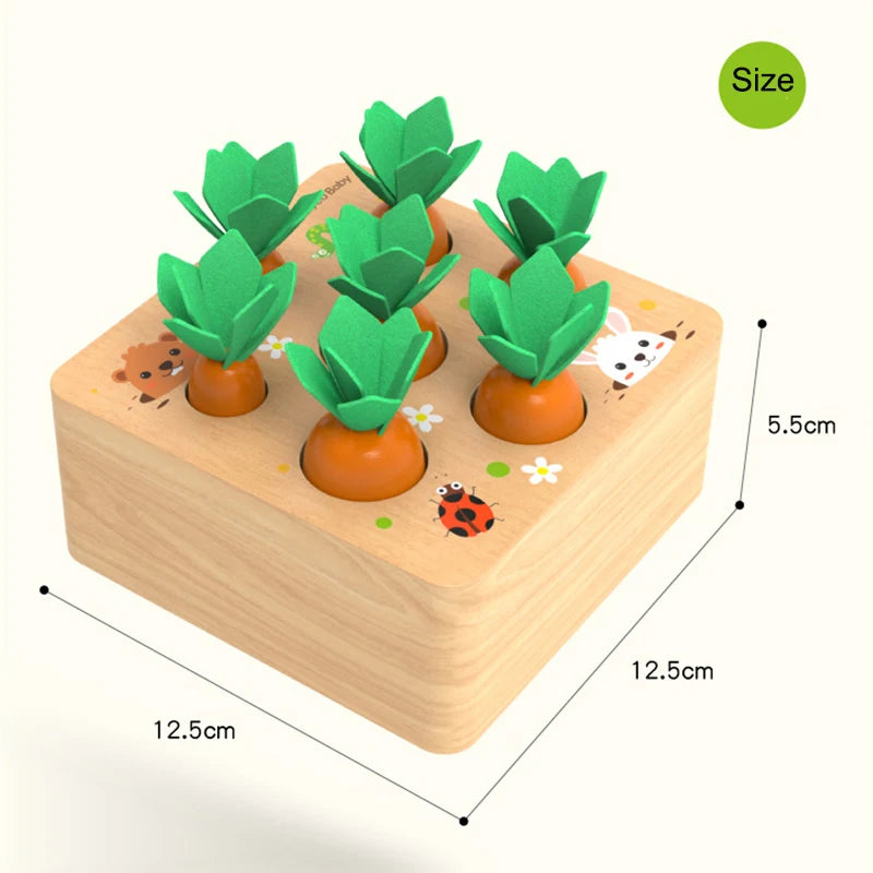 Wooden Carrot Harvest Blocks