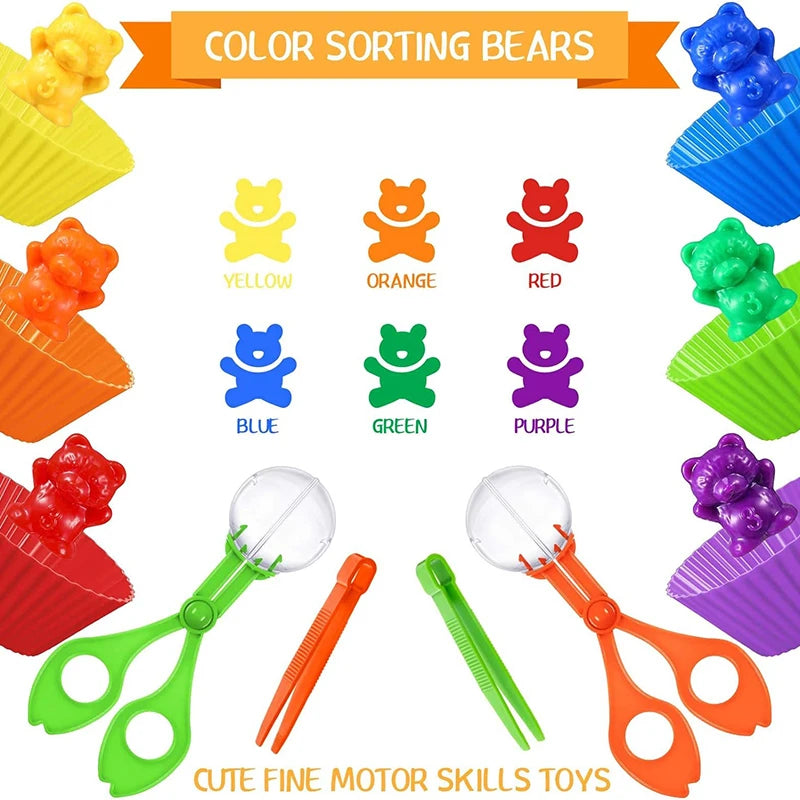 Rainbow Bears Colour Sorting