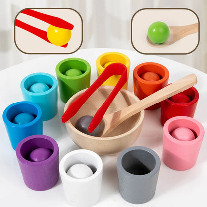 Wooden Cups Colour Sorting