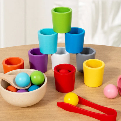 Wooden Cups Colour Sorting