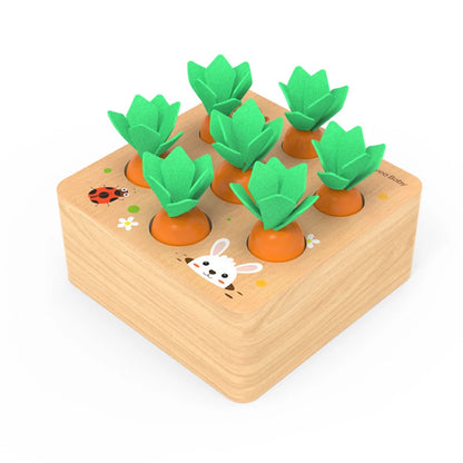 Wooden Carrot Harvest Blocks
